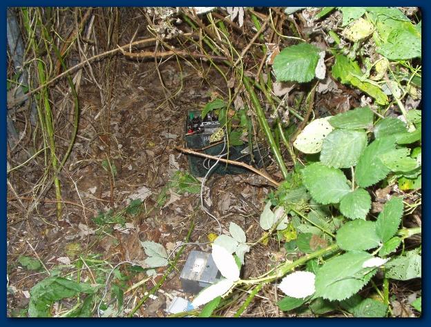 600x449 pixels (205K)